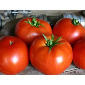 Seminte tomate Red Bounty F1