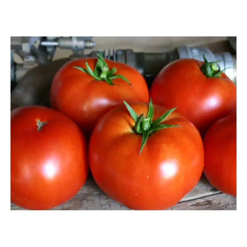 Seminte tomate Red Bounty F1