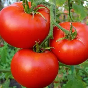 Seminte tomate Cristal F1