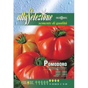 Seminte tomate Costoluto Fiorentino Alta Selezione