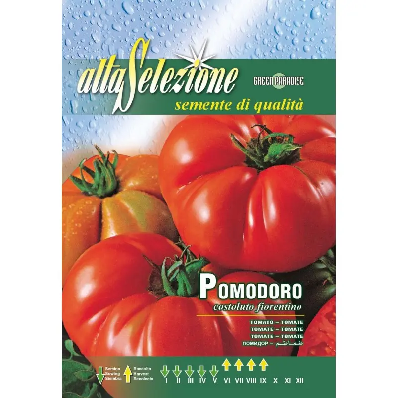 Seminte tomate Costoluto Fiorentino Alta Selezione