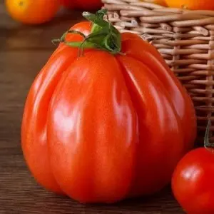 Seminte tomate Corazon F1