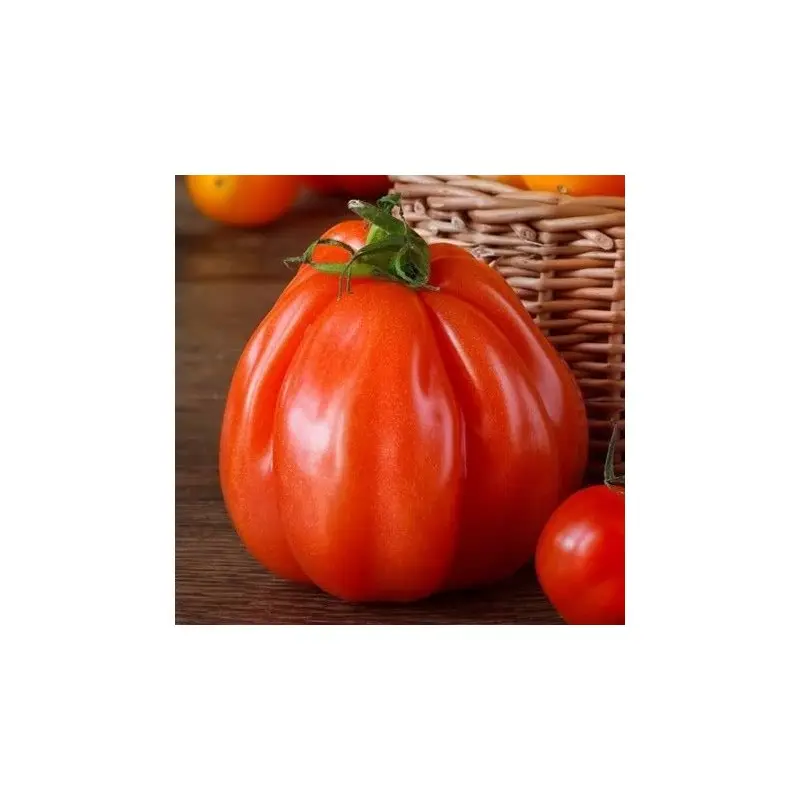 Seminte tomate Corazon F1