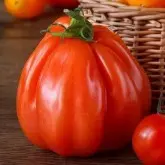 Seminte tomate Corazon F1