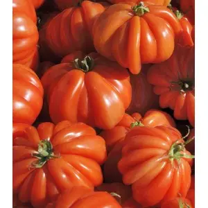 Seminte tomate Corazon F1