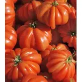 Seminte tomate Corazon F1