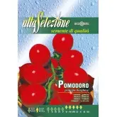 Seminte tomate cherry Principe Borghese Alta Selezione
