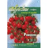 Seminte tomate cherry Red Cherry Alta Selezione