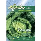 Seminte varza creata Mantovano Alta Selezione
