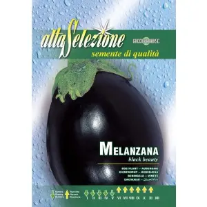 Seminte vinete Black Beauty Alta Selezione
