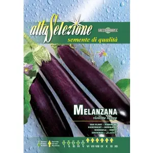 Seminte vinete Violetta Lunga 2 Alta Selezione