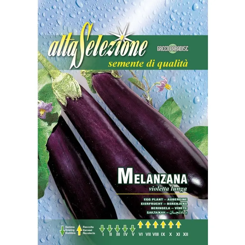 Seminte vinete Violetta Lunga 2 Alta Selezione