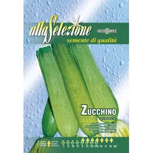 Seminte dovlecel Genovese Alta Selezione