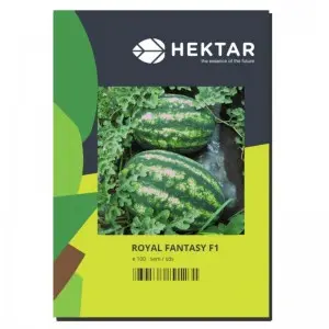 Seminte pepene verde Royal Fantasy F1