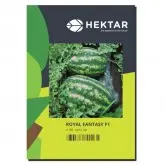 Seminte pepene verde Royal Fantasy F1