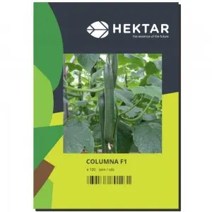 Seminte castraveti Columna F1 (AS LD 102 F1)