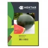 Seminte pepene verde Semaca F1