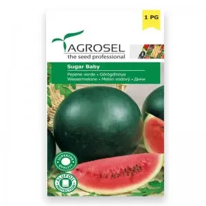 Seminte pepene verde Sugar Baby