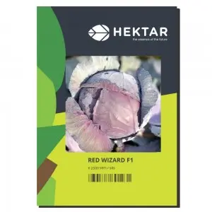 Seminte varza Red Wizard F1