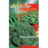 Seminte broccoli Ramoso Calabrese Alta Selezione Qualita