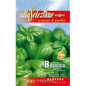 Seminte busuioc Italiano Classico Alta Selezione Qualita