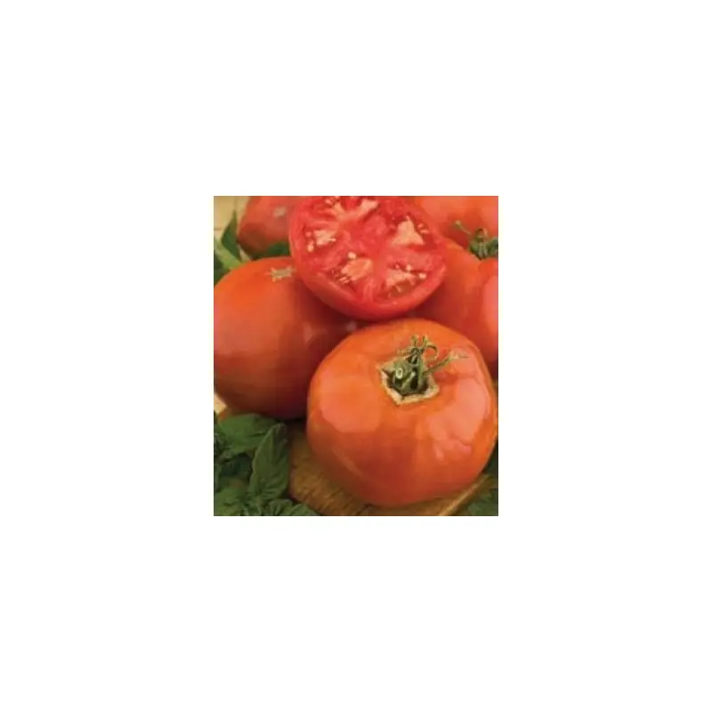 Seminte tomate Elisabeta