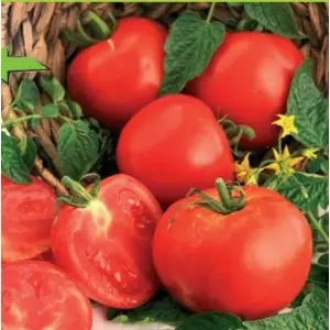 Seminte tomate Ghittia
