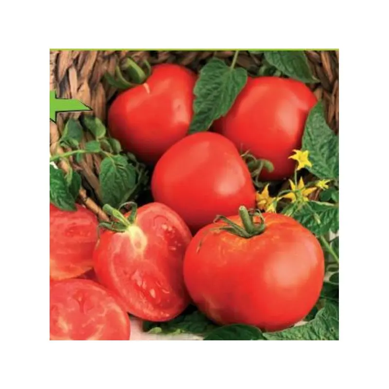 Seminte tomate Ghittia