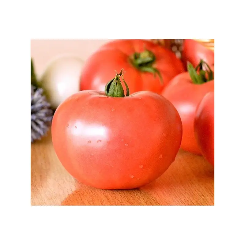 Seminte tomate Lillagro