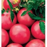 Seminte tomate Lillagro