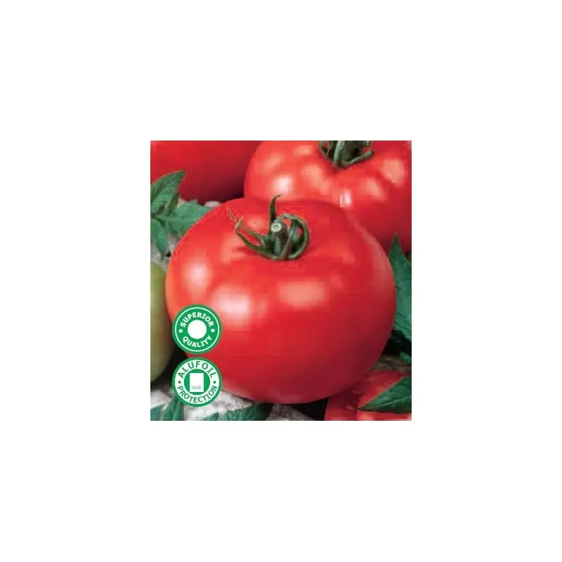 Seminte tomate Amalia