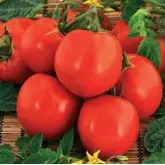 Seminte tomate Raluca