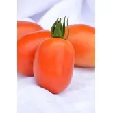 Seminte tomate Silvia (ASP 1605)