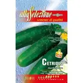 Seminte castraveti Marketmore Alta Selezione Qualita