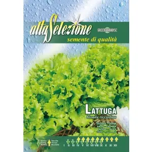 Seminte salata Bionda Ricciolina Alta Selezione