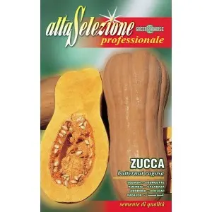 Seminte dovleac Butternut Rugosa Alta Selezione Qualita