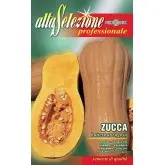 Seminte dovleac Butternut Rugosa Alta Selezione Qualita