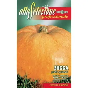 Seminte dovleac Gialla Quintale Alta Selezione Qualita