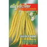 Seminte fasole oloaga fideluta Berggold Alta Selezione Qualita