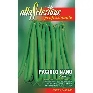 Seminte fasole oloaga fideluta Slenderette Alta Selezione Qualita