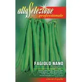 Seminte fasole oloaga fideluta Slenderette Alta Selezione Qualita
