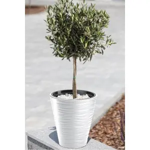 Suport ghiveci Arca Design Sahara rotund inalt