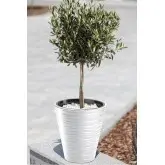 Suport ghiveci Arca Design Sahara rotund inalt