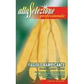 Seminte fasole urcatoare lata Venezia a Grano Bianco Alta Selezione Qualita