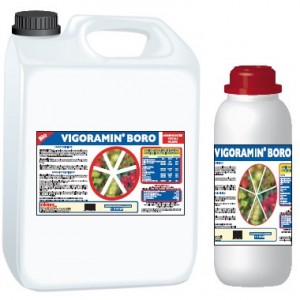 Ingrasamant organic lichid VIGORAMIN Boro
