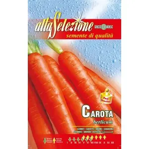 Seminte morcovi Berlicum Alta Selezione Qualita