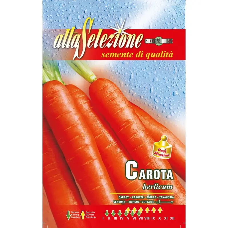 Seminte morcovi Berlicum Alta Selezione Qualita
