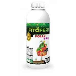 Ingrasamant lichid Fitofert Folly Brix 0-2-20+TE