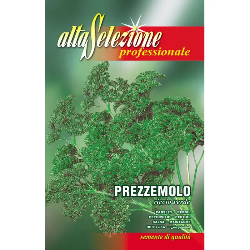 Seminte patrunjel de frunze Riccio Verde Alta Selezione Qualita
