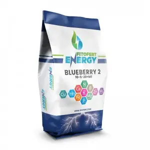 Ingrasamant Fitofert Kristal Blueberry 2